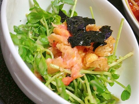 桜でんぶで春色卵の豆苗サラダ